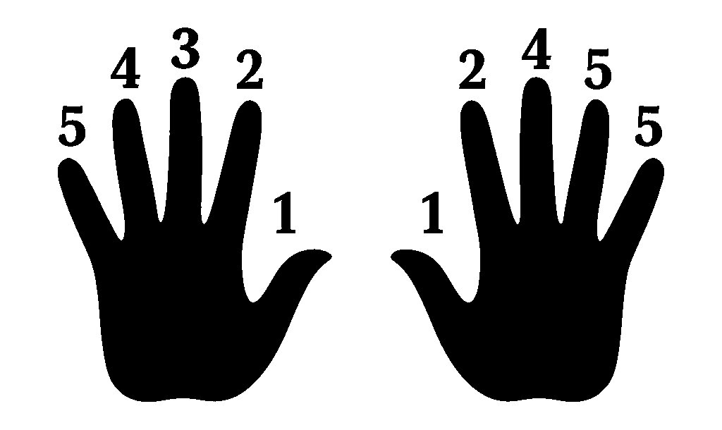Finger Numbers
